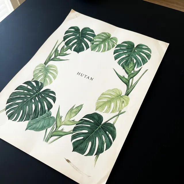 [object Object] — Monstera, banana leaf, heliconia — drawn with real accuracy.